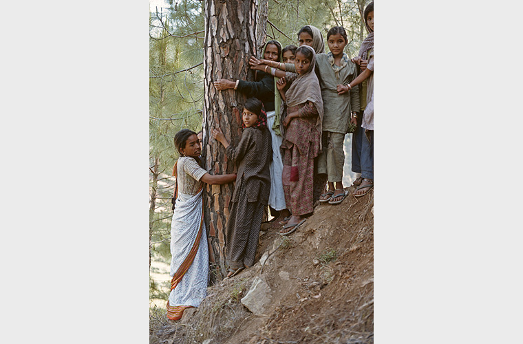  Chipko Andolan - Indiens erste Umweltschutzbewegung