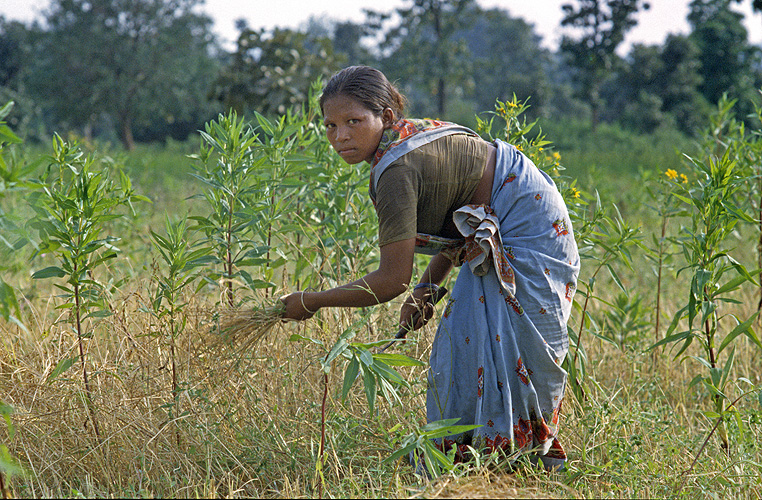 Buerin des indigenen Munda-Volkes in Jharkhand