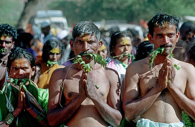 Betende mit sten des Niem-Baumes, Karnataka